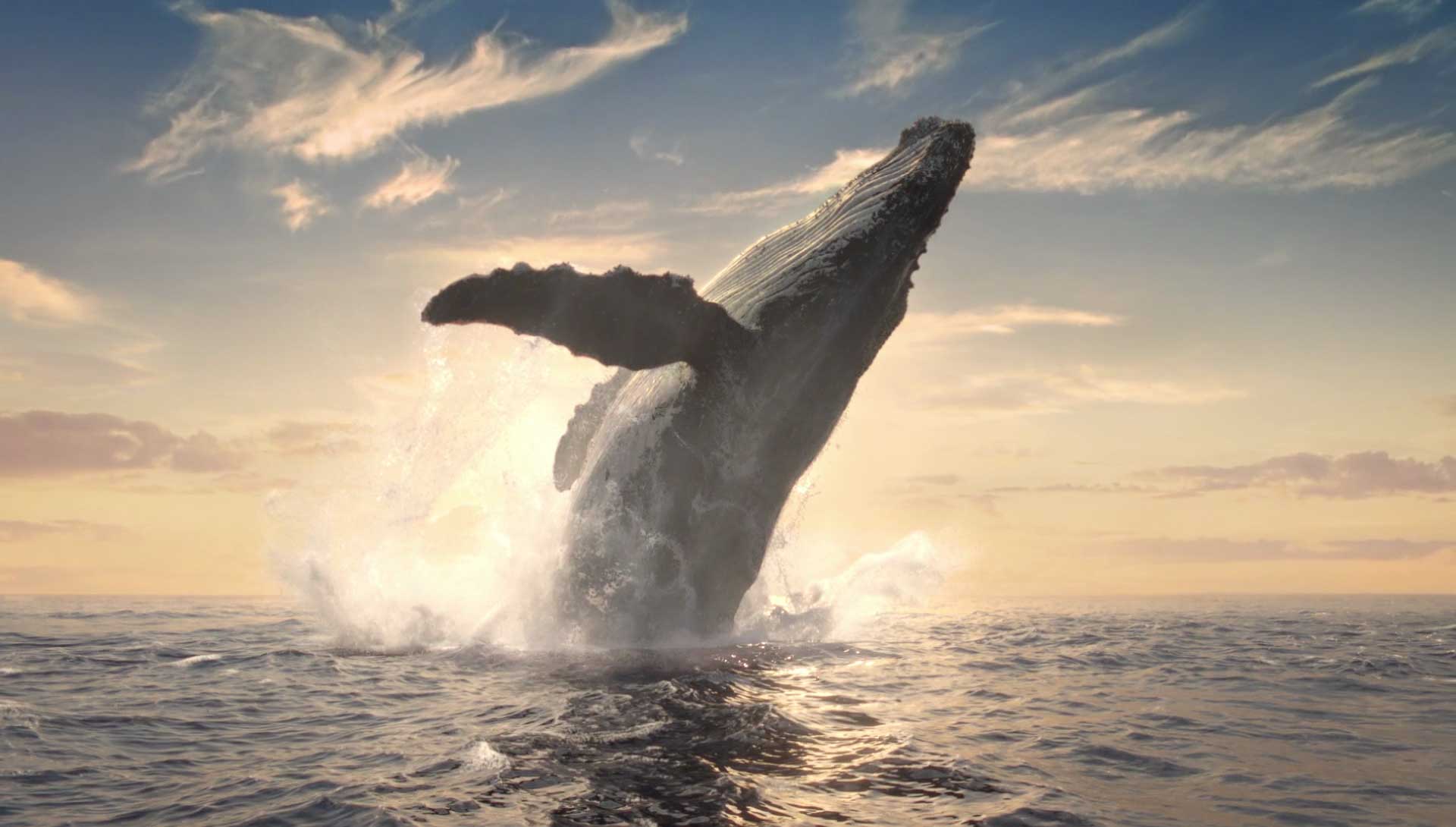 M&C Saatchi LA Brings To Life The “Power of Pacific” In New Integrated Campaign For Pacific Life
